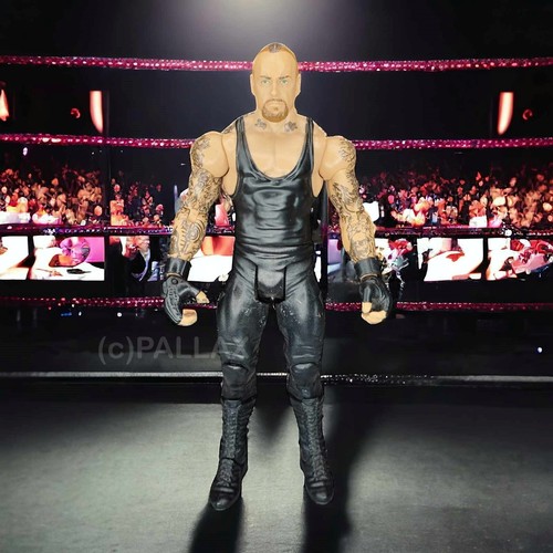 Wwe wrestling v1541 basic - wrestling,