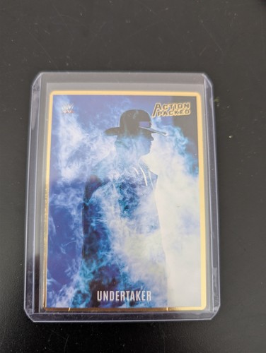 2023 panini wwe - 2023,